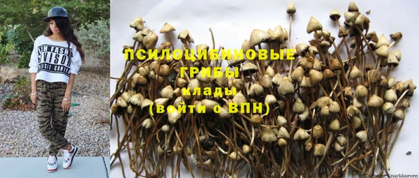 прущие грибы Белоозёрский
