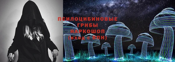 прущие грибы Белоозёрский