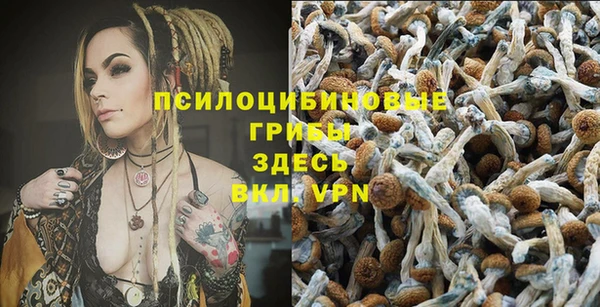 метадон Беломорск