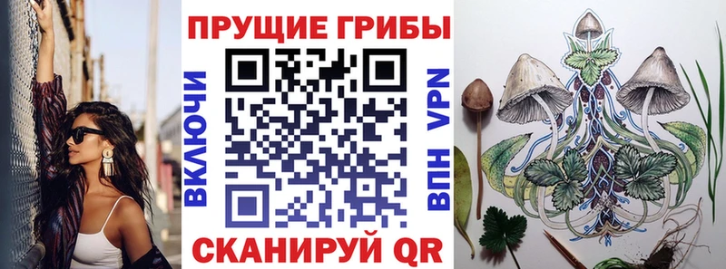 купить  цена  Губкинский  Галлюциногенные грибы Magic Shrooms 