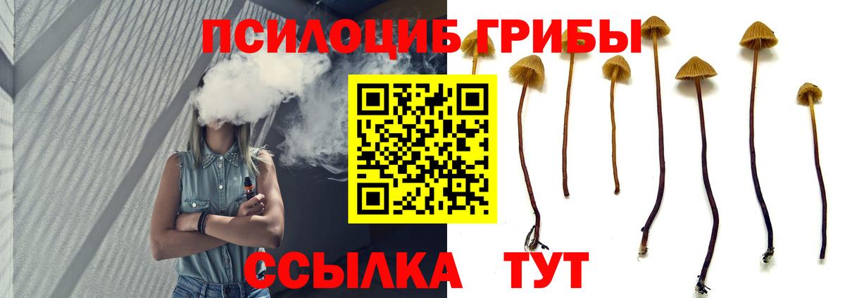 Галлюциногенные грибы Cubensis Губкинский