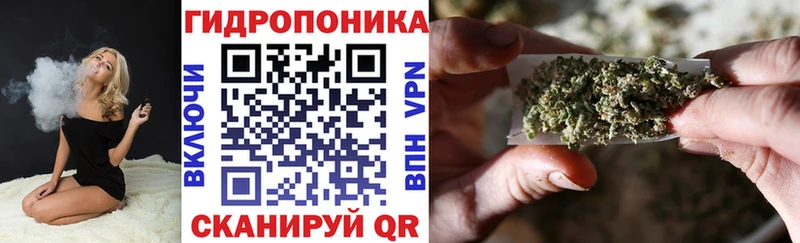 Каннабис сатива  Губкинский 
